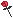  Favorite Flower Rose